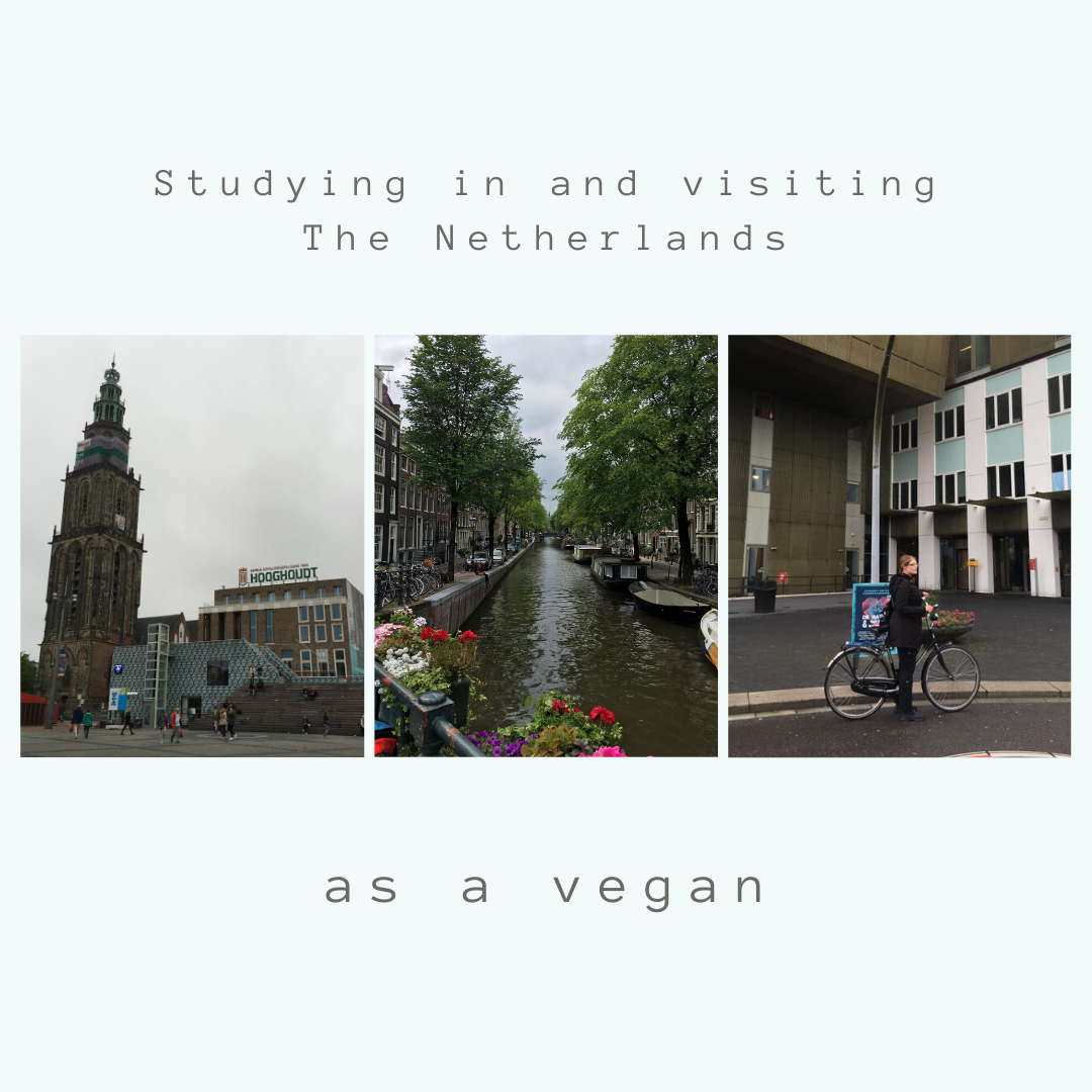 Studying in and visiting The Netherlands