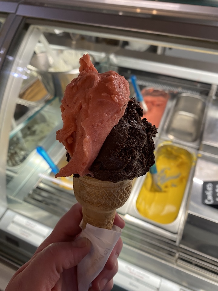 Vegan gelato at the place by my apartment in Rome